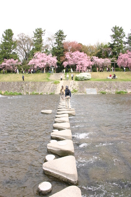 b0131812_19564992.jpg