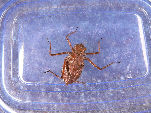 e0002314_2015518.jpg