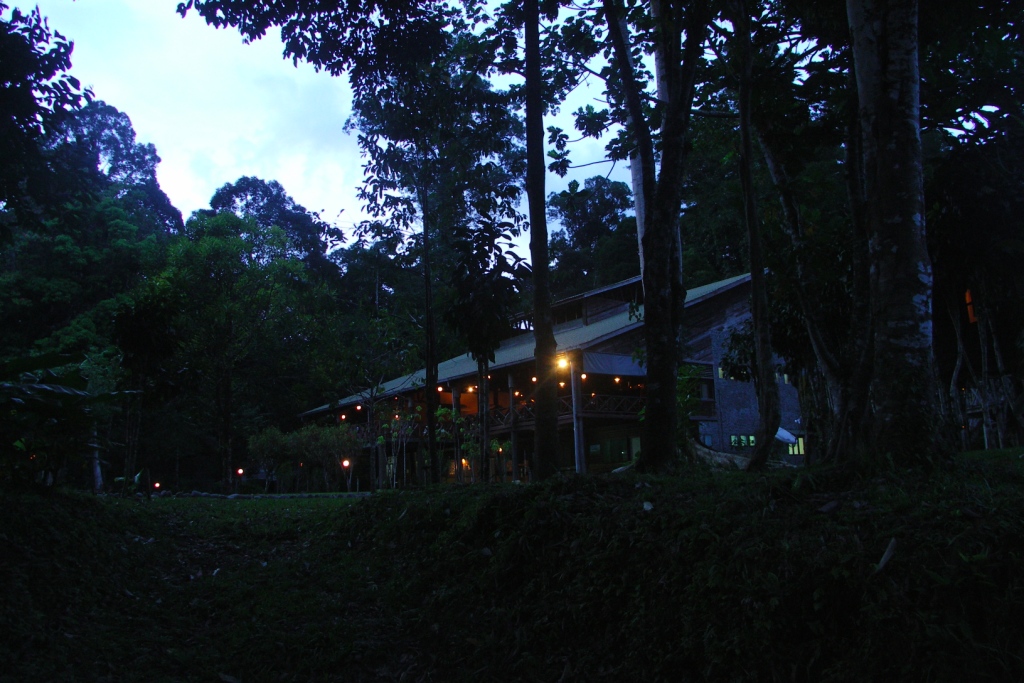 f0064415_0101636.jpg