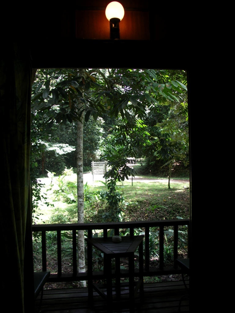 f0064415_2356337.jpg