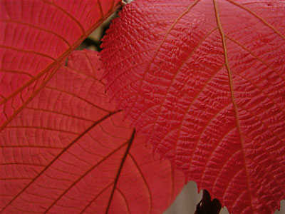 f0056516_22552540.jpg