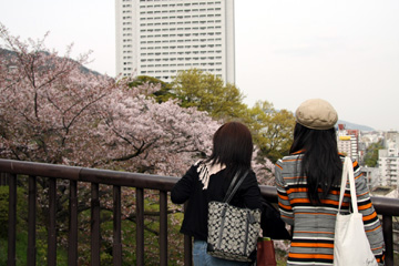 e0083517_142112.jpg