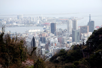 e0083517_15162.jpg
