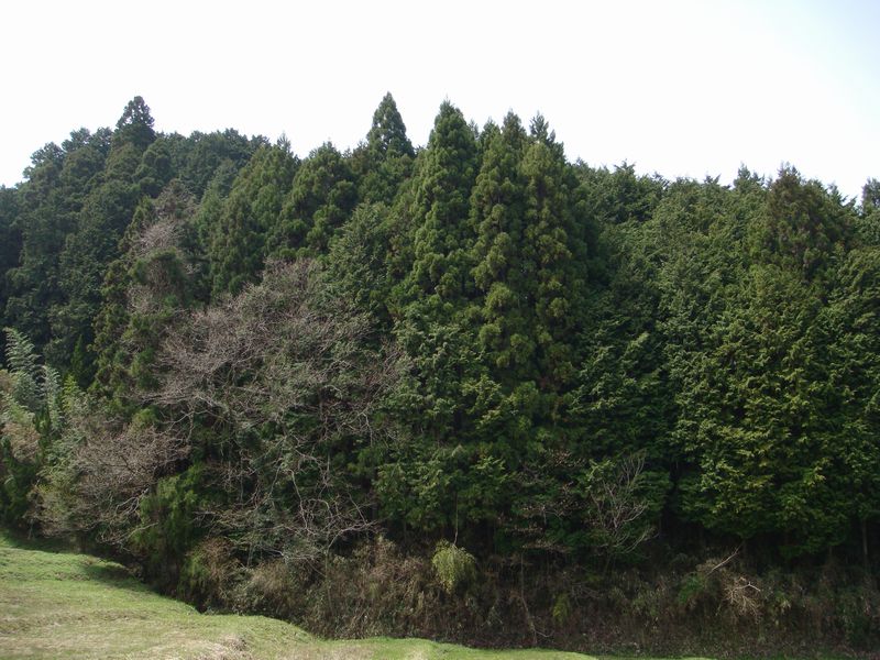 c0124021_20233720.jpg