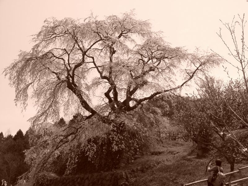 c0124021_20374447.jpg