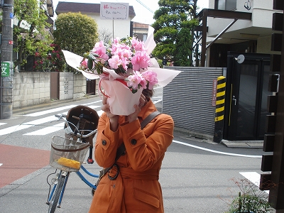 b0087822_1744479.jpg