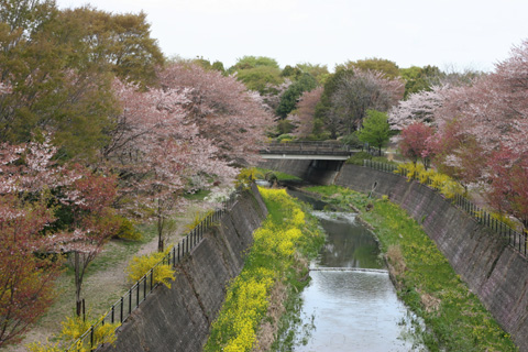 e0071225_4584223.jpg
