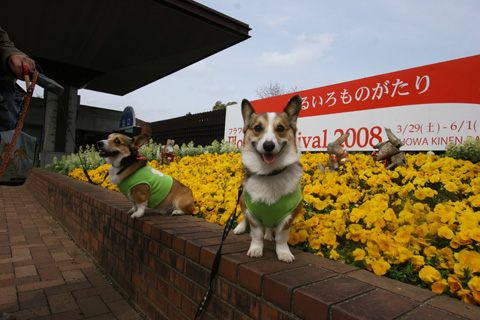 e0071225_55843.jpg
