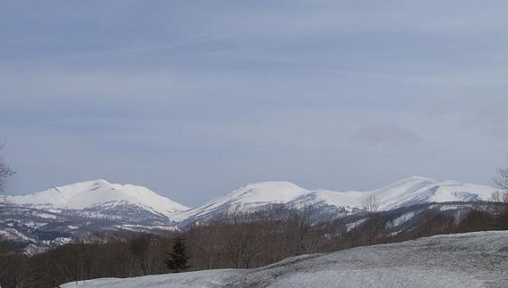 f0118332_224535.jpg