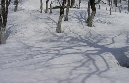 f0118332_22575351.jpg