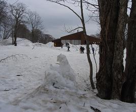 f0118332_2321639.jpg
