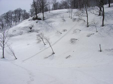 f0118332_233459.jpg
