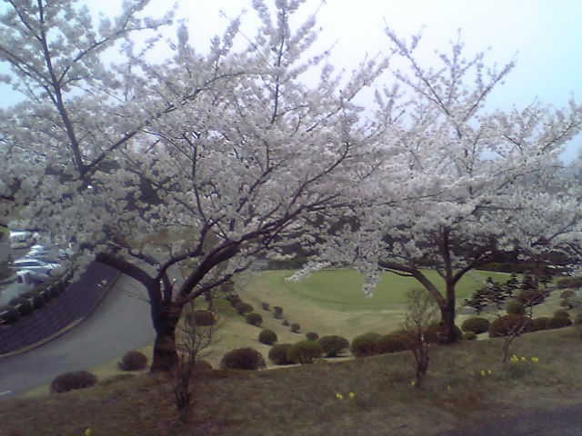 c0117936_16555956.jpg