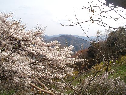 d0093936_13461351.jpg