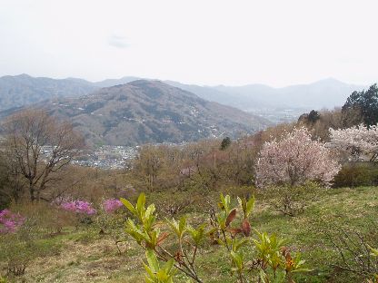 d0093936_1425617.jpg