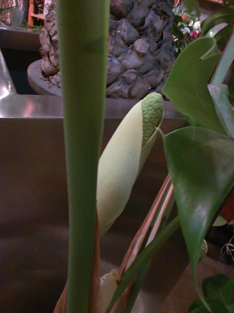 c0125637_2295157.jpg