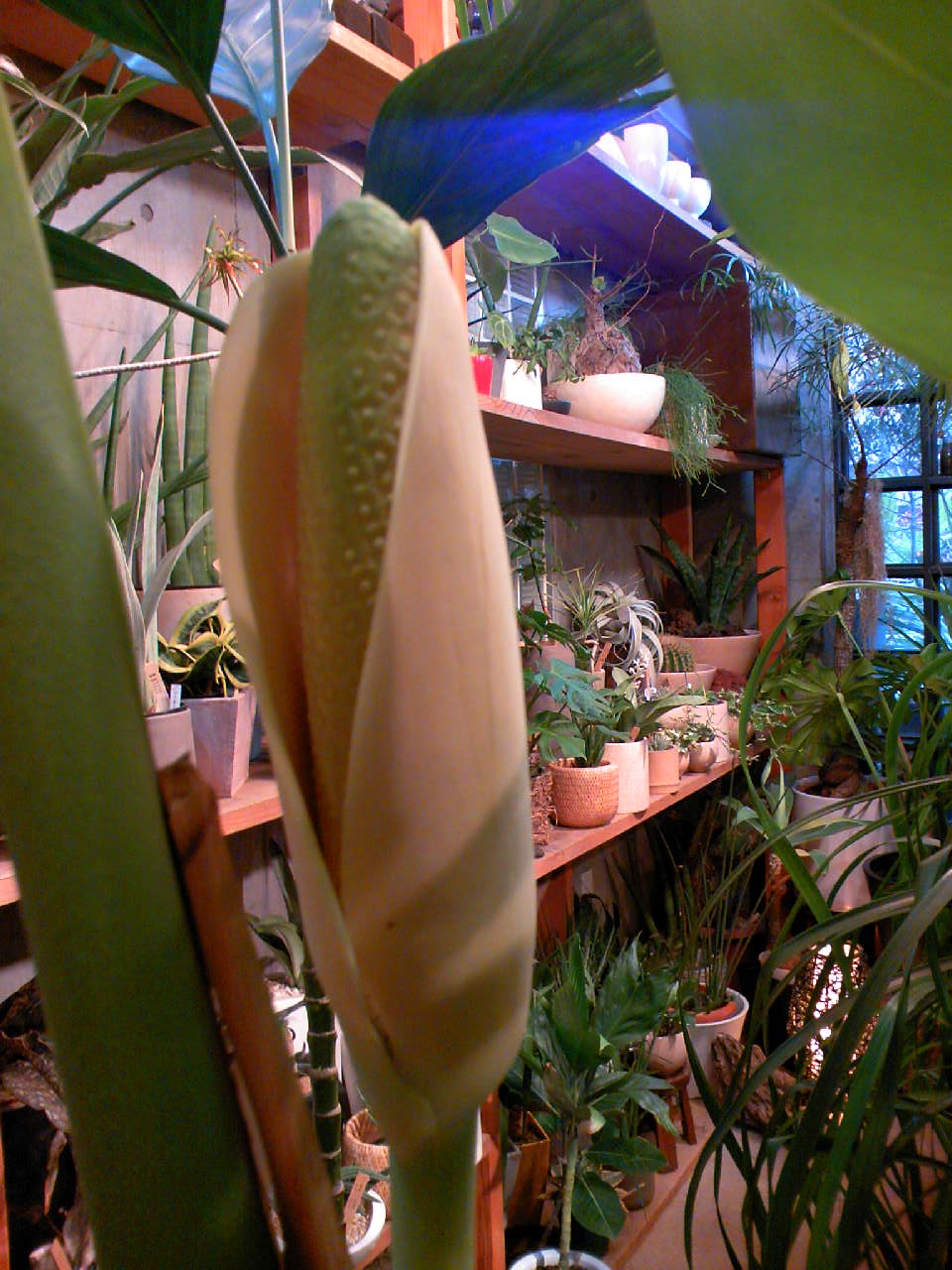 c0125637_2312786.jpg