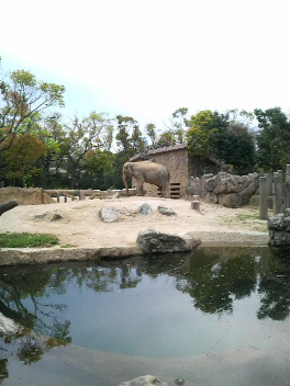 f0153141_23153578.jpg