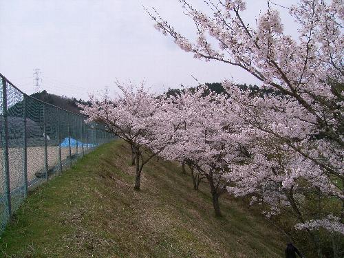 c0072843_18532062.jpg