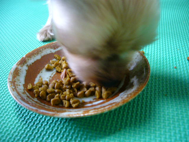 d0025643_23385380.jpg