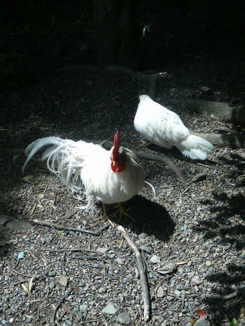c0149247_20111470.jpg