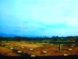 a0087950_21144294.jpg
