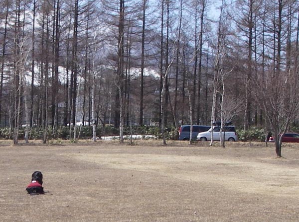 b0091153_21415177.jpg