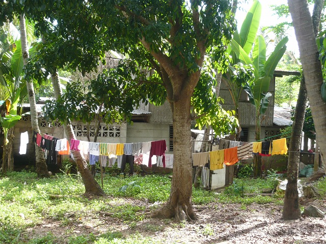d0018753_0151436.jpg