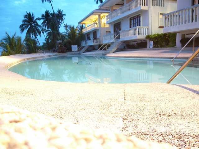 d0018753_0394538.jpg