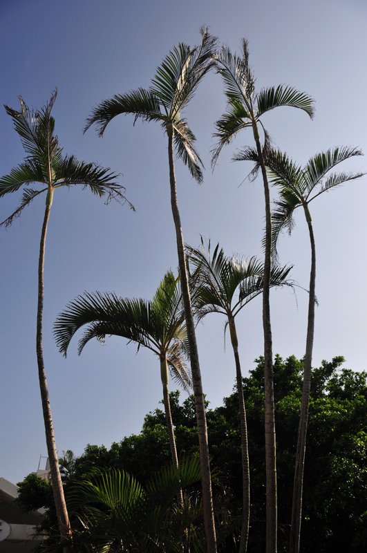c0109454_051551.jpg