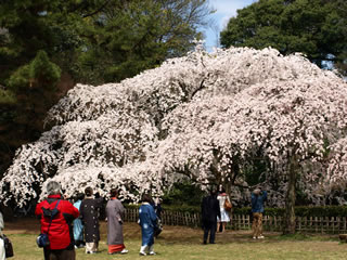 b0054956_0185344.jpg