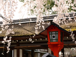 b0054956_027134.jpg