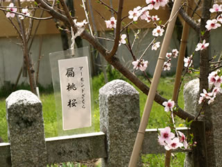 b0054956_0272521.jpg