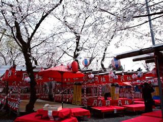 b0054956_027278.jpg