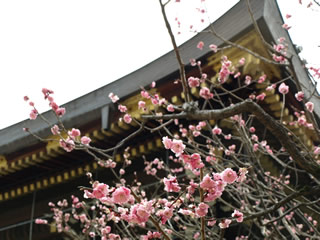 b0054956_0292442.jpg