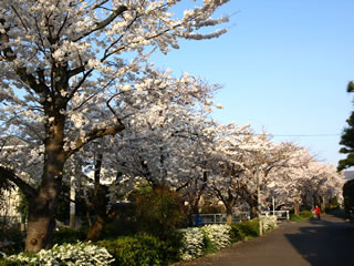 b0054956_0312163.jpg
