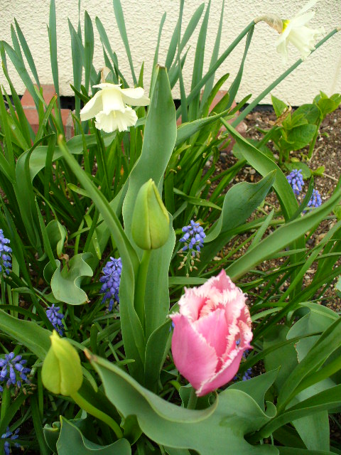 f0074659_20402466.jpg