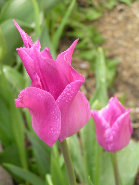 f0074659_20474842.jpg