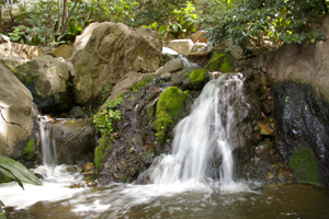 b0117170_14261877.jpg