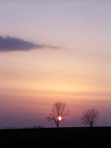 f0092382_11242728.jpg