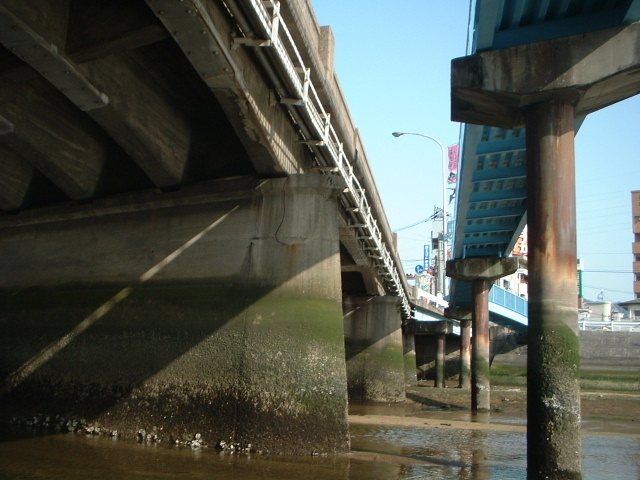 e0060485_841078.jpg