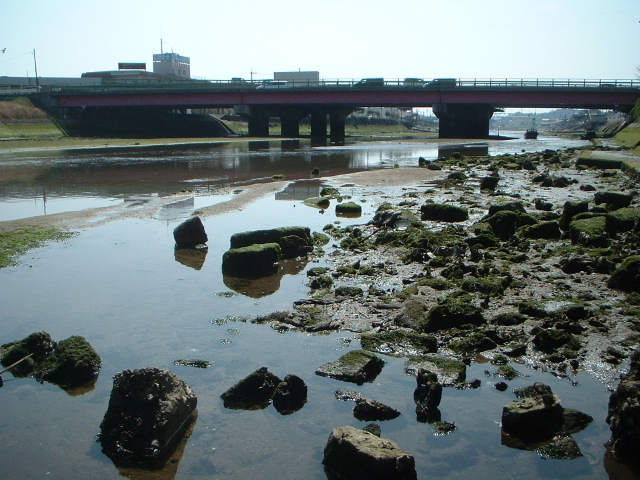 e0060485_88861.jpg