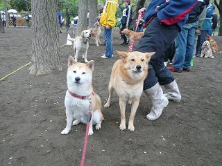 c0123890_20421591.jpg