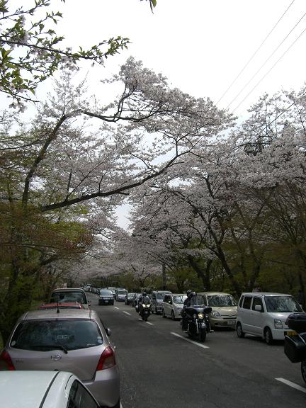 f0068291_2211236.jpg