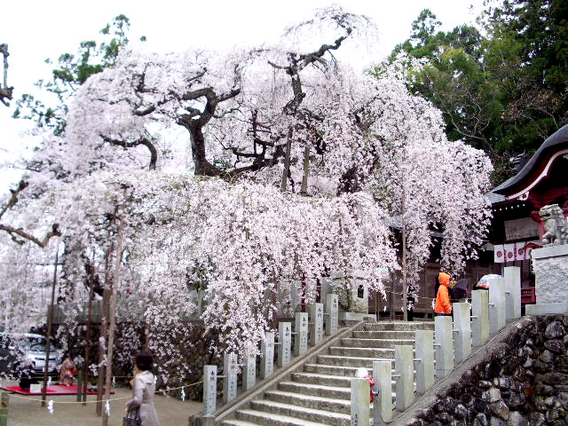 a0061594_23254468.jpg