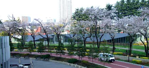 b0099994_13475319.jpg