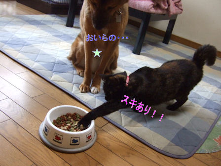 b0087400_2352514.jpg