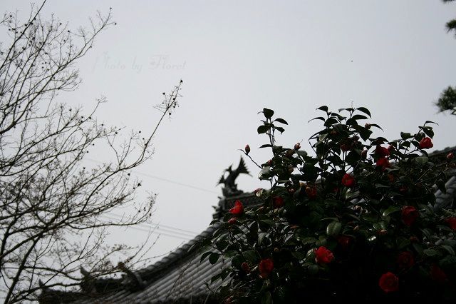 f0083400_23392073.jpg
