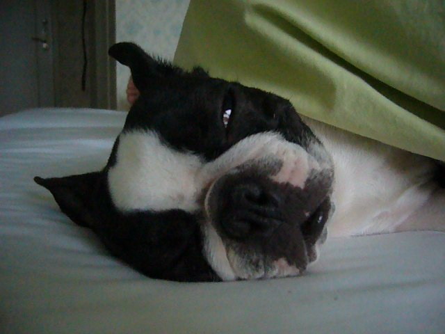 d0070702_20565878.jpg