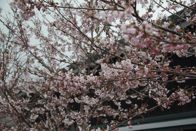 f0034602_2114231.jpg